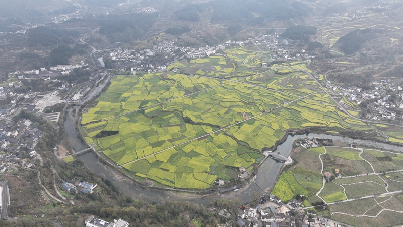 圖為：玉水金盆