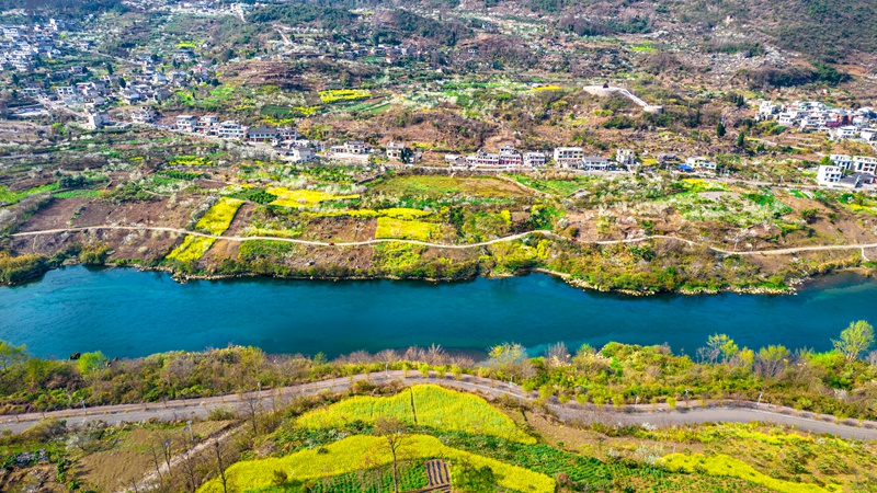 3月4日，贵州省黔西市大关镇丘林村盛开的桃花李花与村庄、河流、山川构成一幅美丽乡村生态画卷。