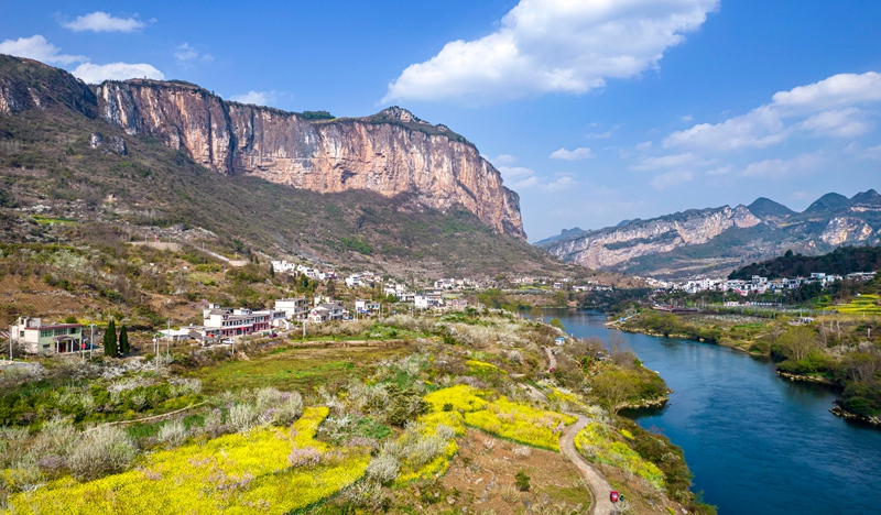 3月4日，贵州省黔西市大关镇丘林村盛开的桃花李花与村庄、河流、山川构成一幅美丽乡村生态画卷。