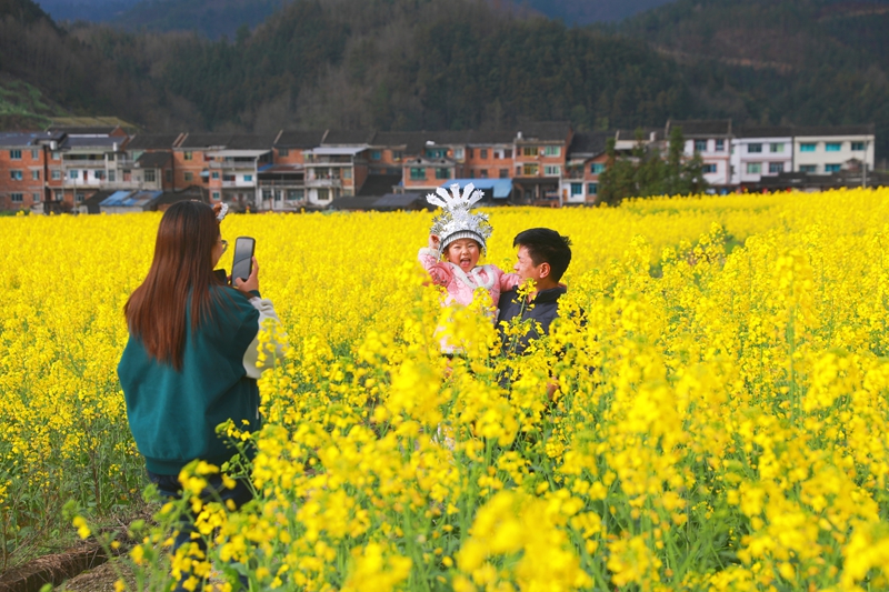 游客在劍河縣南明大壩油菜花海中拍照打卡。楊潔茹攝