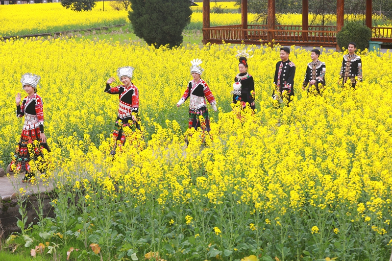 在劍河縣南明大壩油菜花海，游客穿梭於花田賞花、拍照。楊潔茹攝