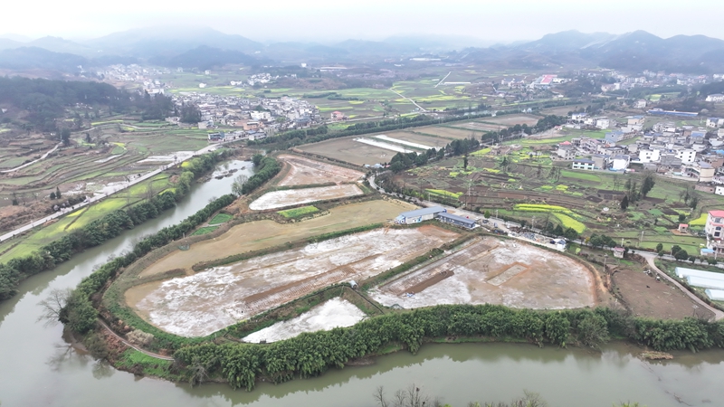 螺蛳虾养殖基地复工忙 (1).jpg