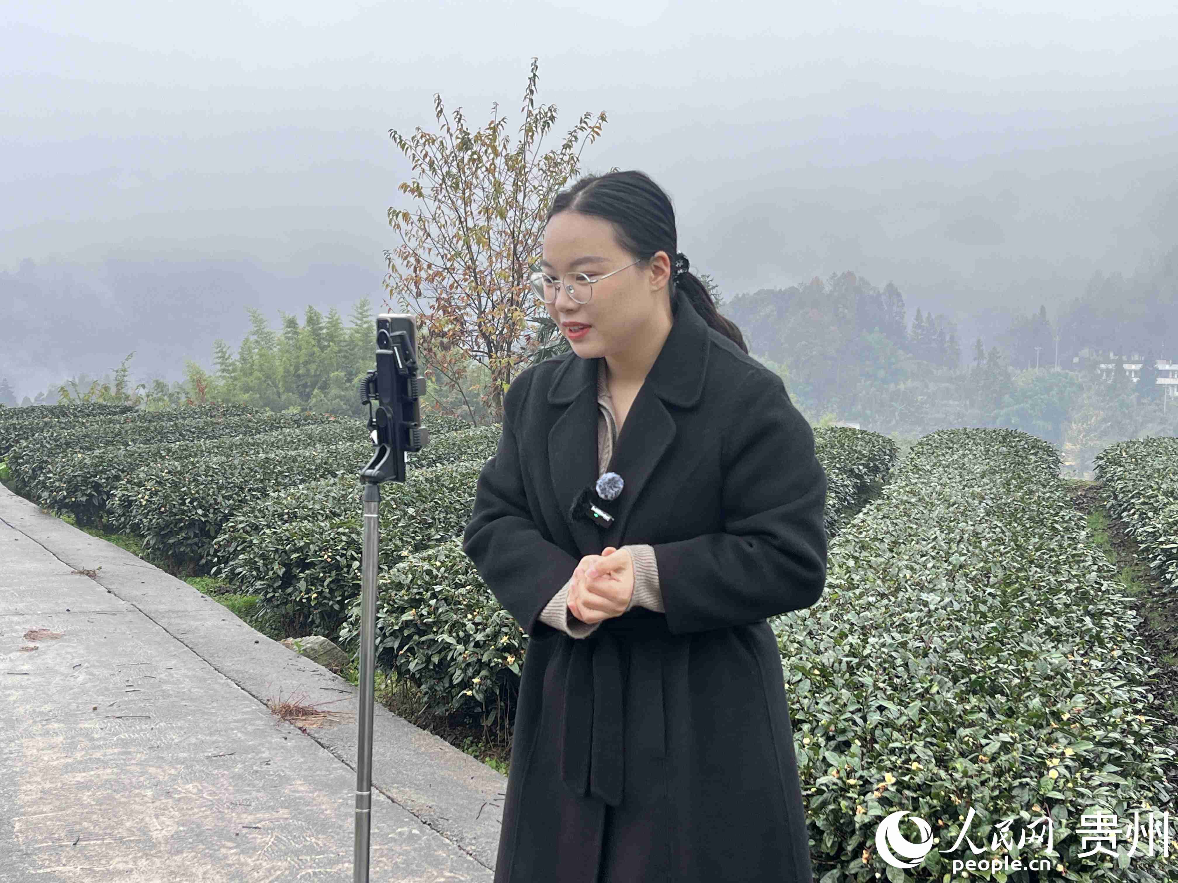 杜富佳將茶園變成直播間。人民網記者 陳潔泉攝