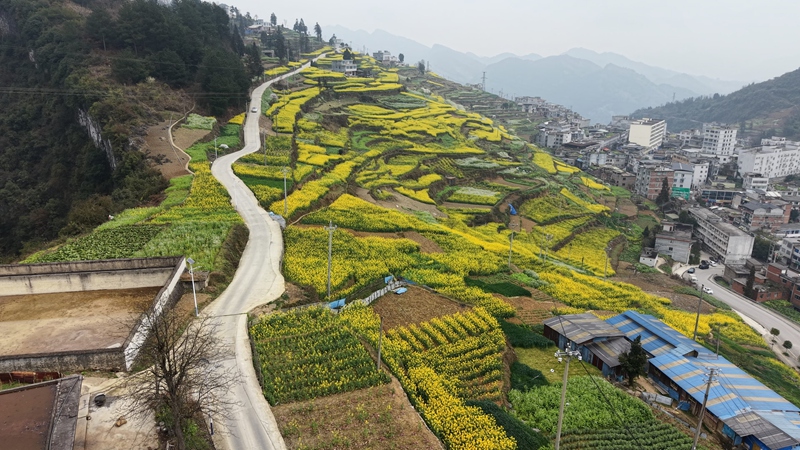 1、永安鎮的村組公路上，一個個新修的生態錯車道格外醒目。習水縣融媒體中心供圖