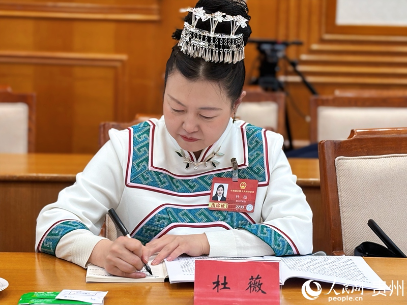 杜薇代表參會。人民網記者 高華攝