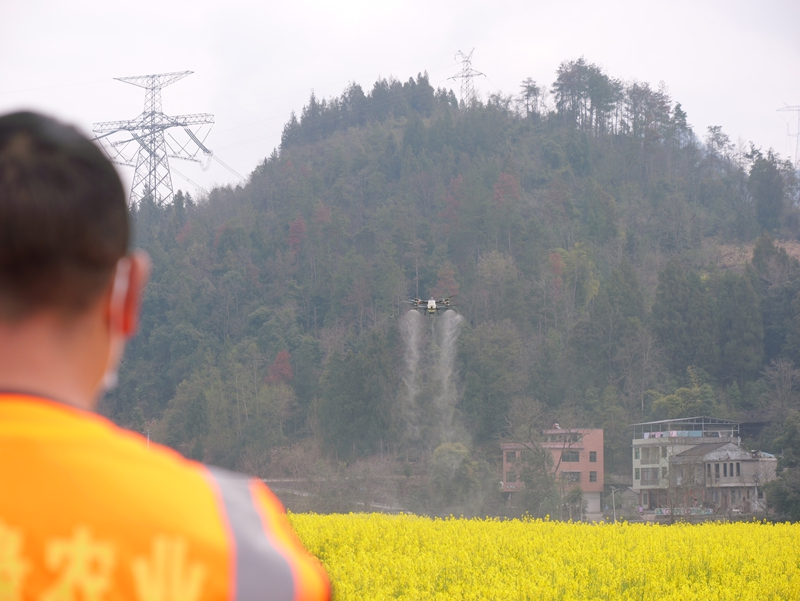 無人機管護航拍。