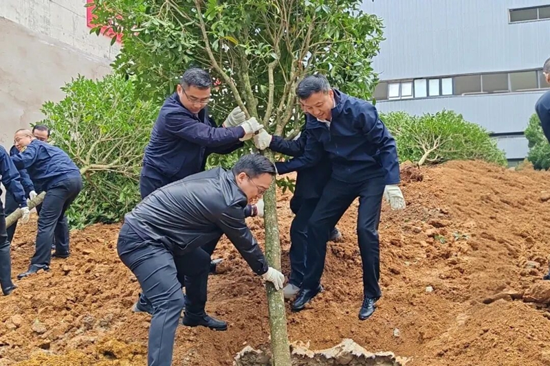 1 植树活动现场.jpg