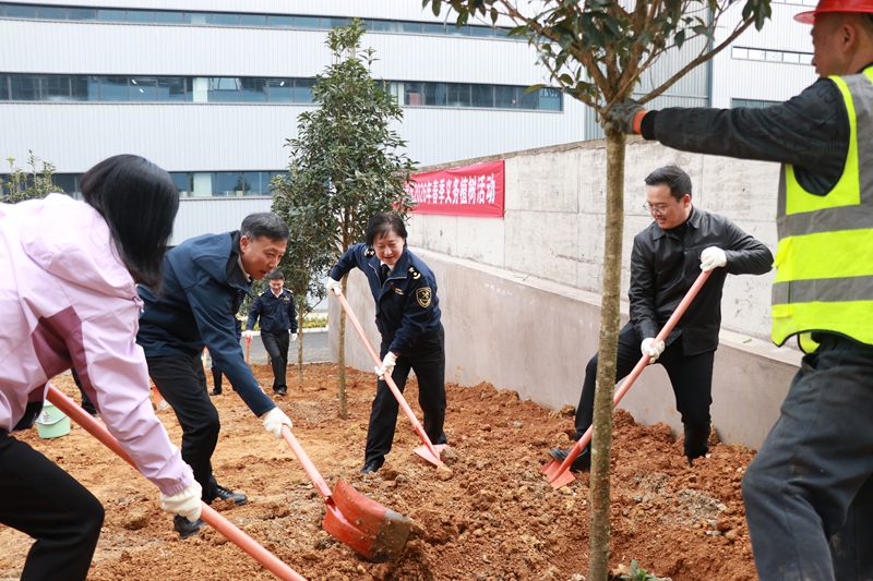 植树活动现场。