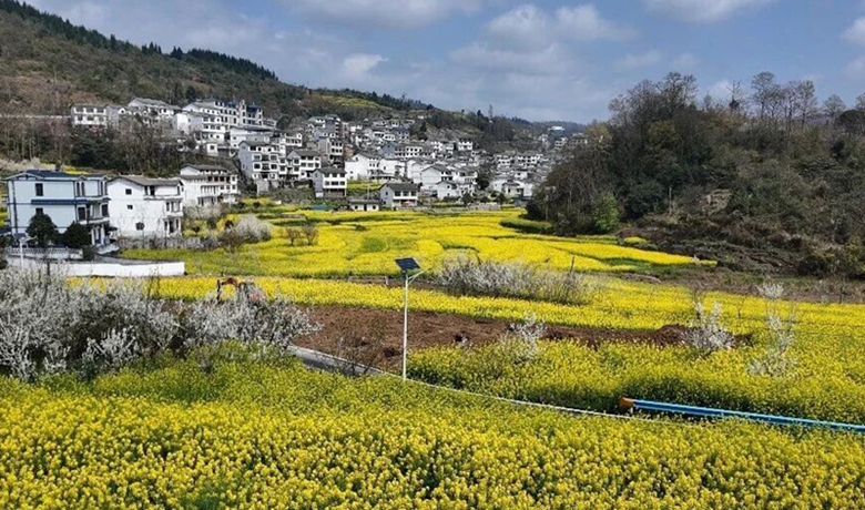 黃果樹龍宮鎮桃子村：避暑旅居項目建設有序推進繪就鄉村振興新圖景