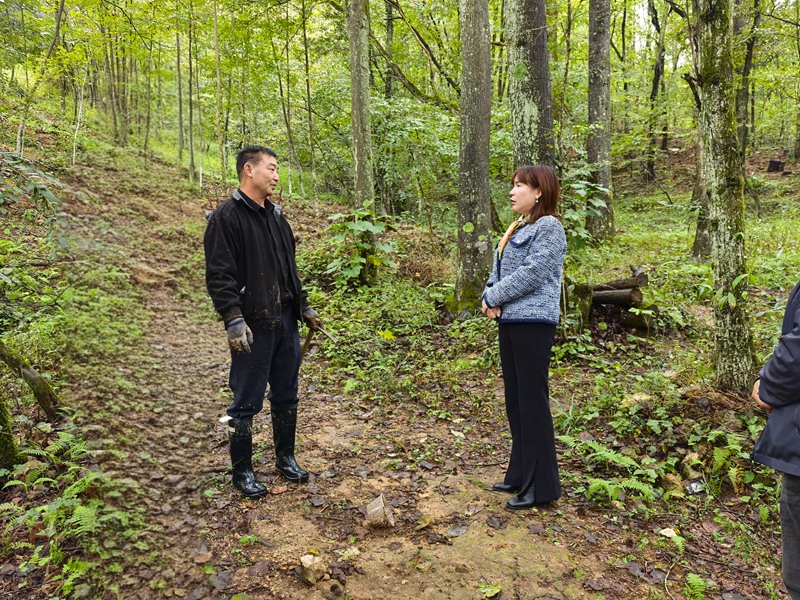 全國人大代表張尤慧在武陵山區挂職。周曉波攝