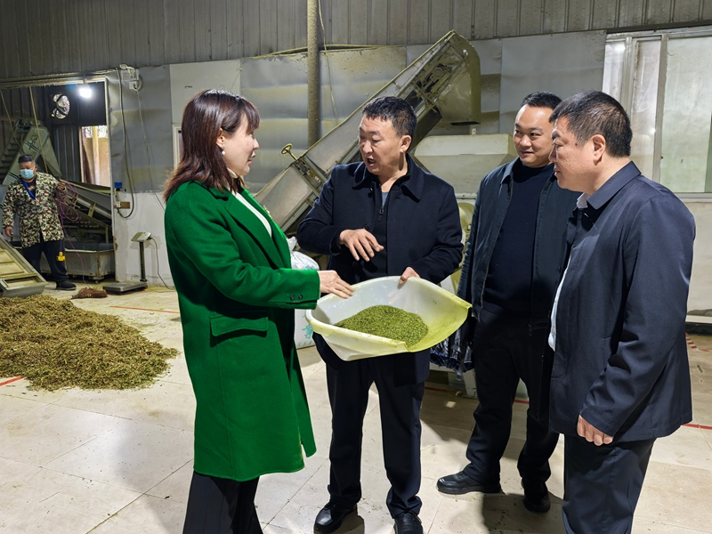 全國人大代表張尤慧走進基層調研。馮勝彥攝 (2)