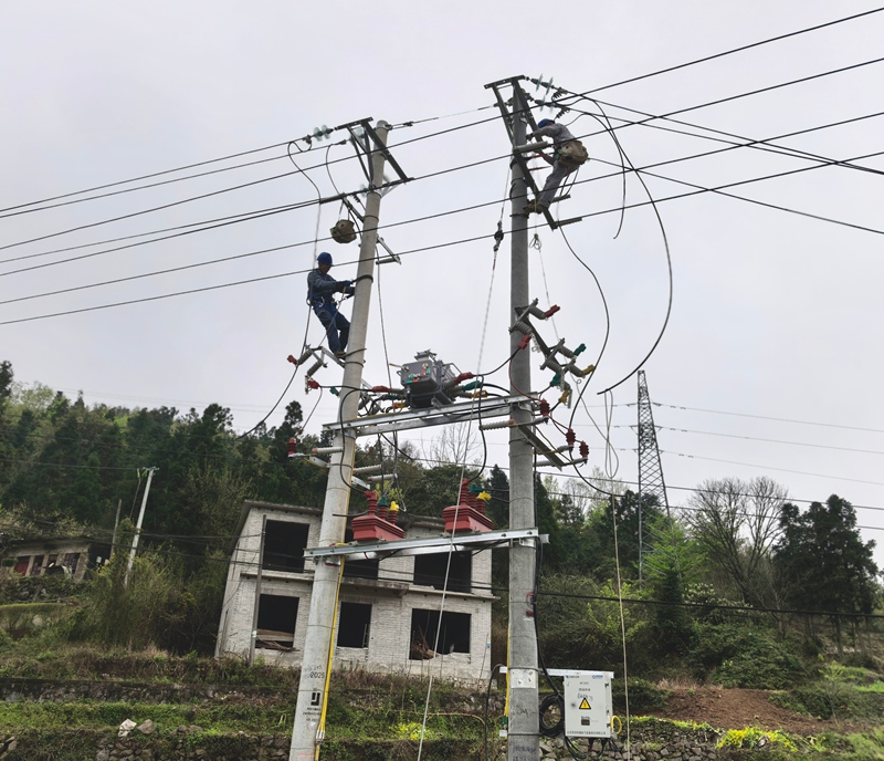 10千伏龍石線自動化開關改造作業現場。