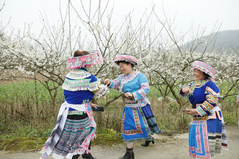 村民们在李花园里跳舞。姜继恒摄