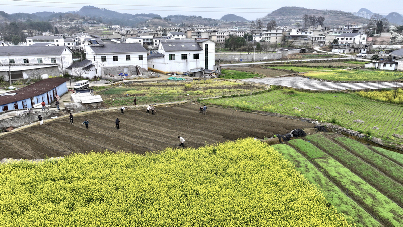 觀山湖區朱昌鎮茶飯村。