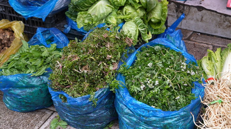 春菜争“鲜”上市。