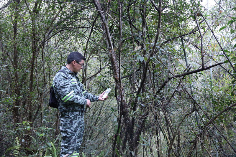 掃碼記錄植物狀況。