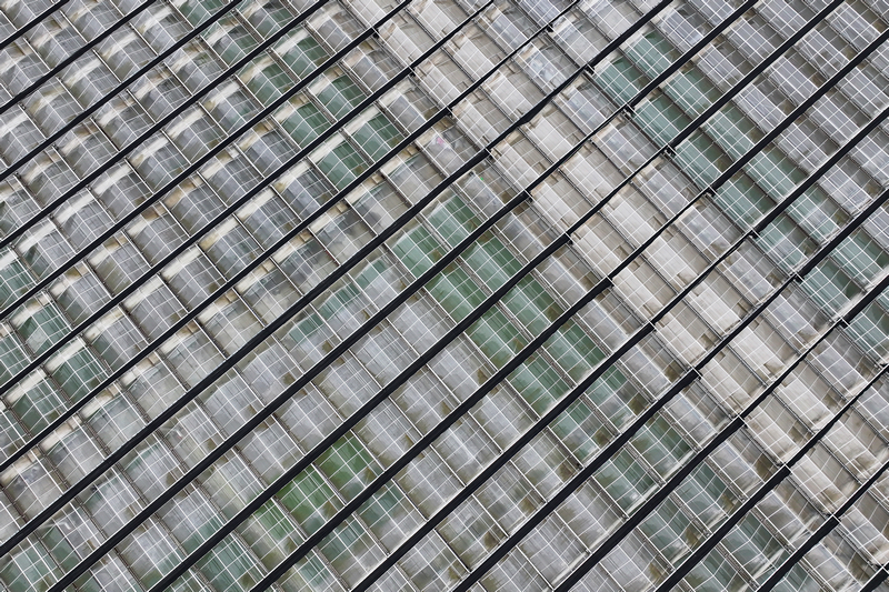 3月11日,航拍威寧江楠育苗中心大棚。