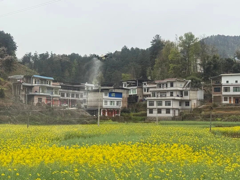 無人機正在作業。