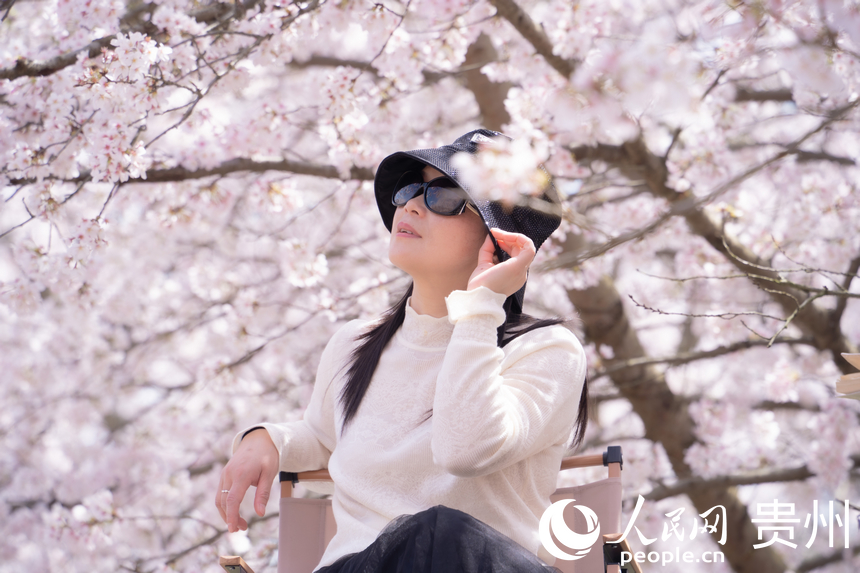 游客在樱花树下拍照。人民网 阳茜摄