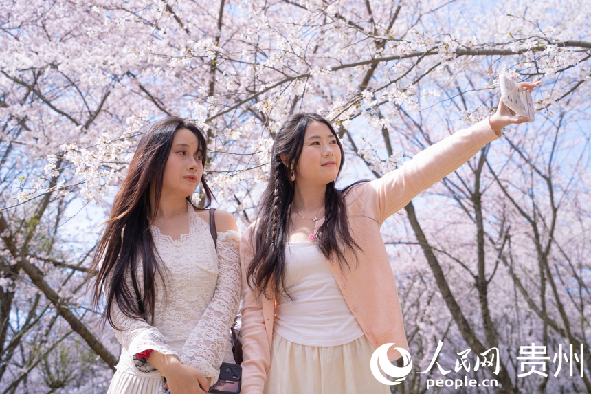 游客在樱花树下拍照。人民网 阳茜摄