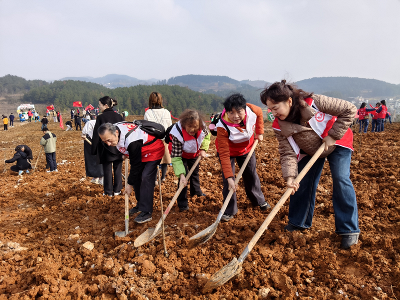 志願者參加活動。楊娟攝