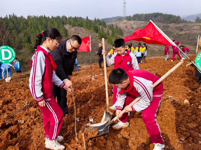 共青團銅仁市委副書記張青鬆 教學生植樹。楊娟攝