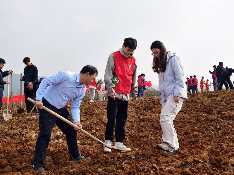 植樹活動現場。楊娟攝