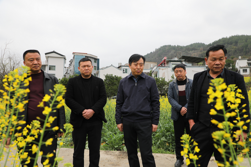 贵州石阡：油菜春管正当时 农技下乡助力粮油丰收。