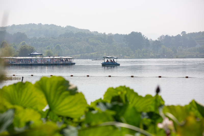 金海湖公園夏日生態畫卷裡的文旅新活力。周照人攝