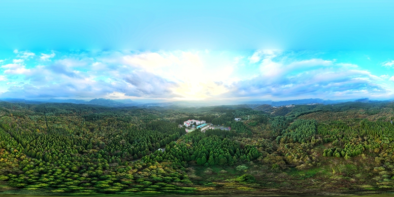 初冬時節,七星關區拱攏坪國家森林公園層林盡染,五彩斑斕。萬飄陽攝