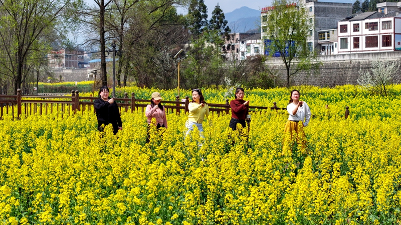 2026年3月11日,貴州省納雍縣寨樂鎮農旅融合示范園內,連綿起伏的油菜花競相綻放,將大地染成了一片金黃,繪就了一幅生機勃勃的春日畫卷。