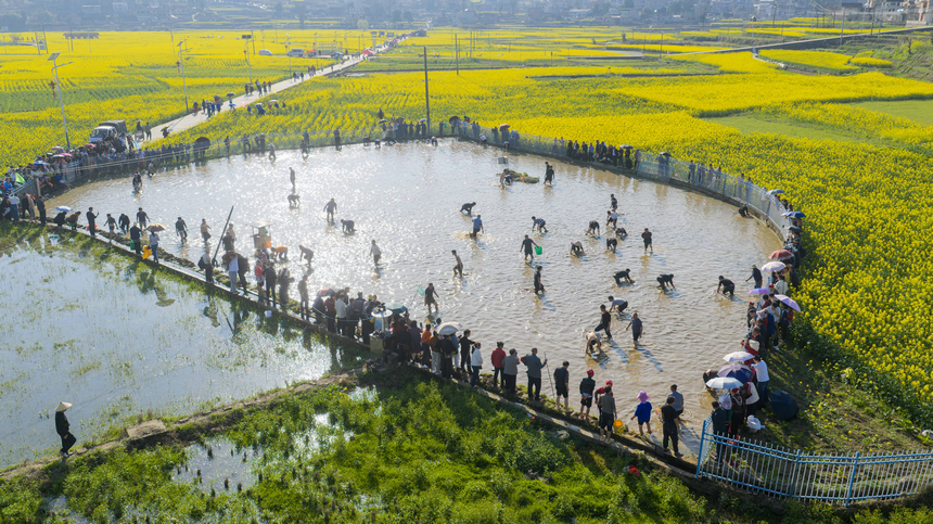 2026年月3月11日，在貴州省黔東南苗族侗族自治州施秉縣城關鎮上翁哨村，村民在參加捉魚比賽。