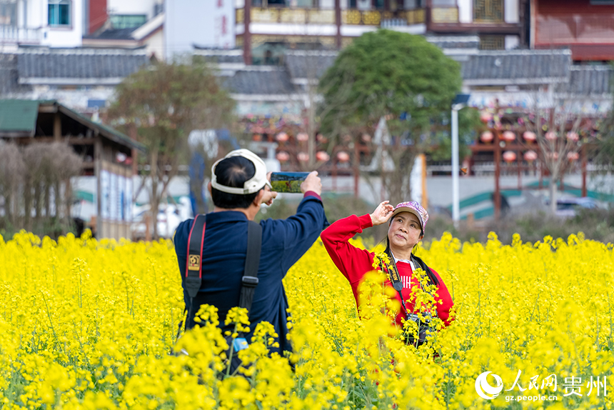 游客在馬頭村油菜花田內打卡拍照。人民網記者 涂敏攝