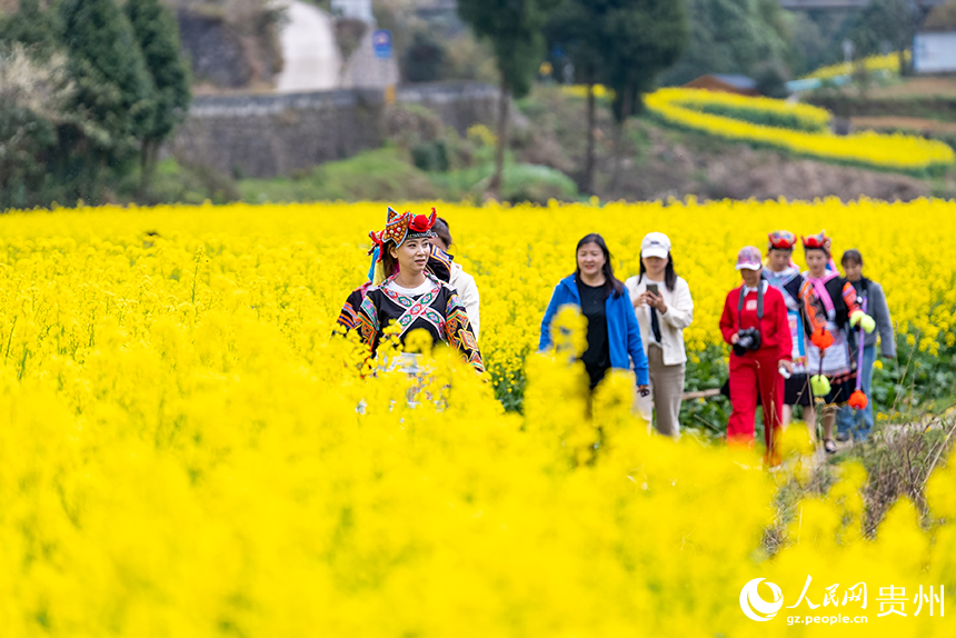 游客在王崗村油菜花田內游覽。人民網記者 涂敏攝