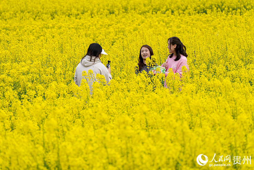 游客在王崗村油菜花田內拍攝視頻。人民網記者 涂敏攝