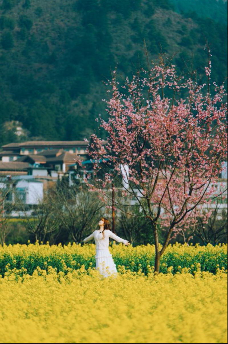 游客拍照打卡。主辦方供圖