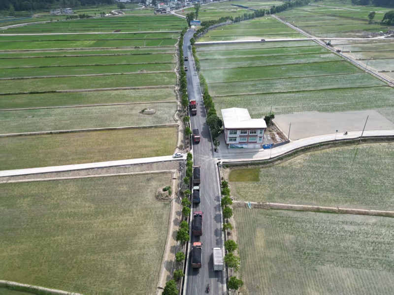 公路建设与稻谷成长相映生辉.jpg