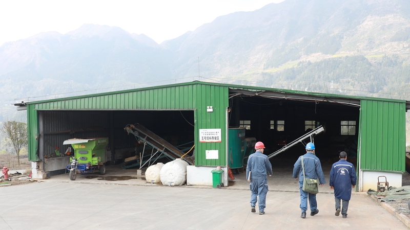 走進肉牛食料加工車間。盧關文 攝.JPG
