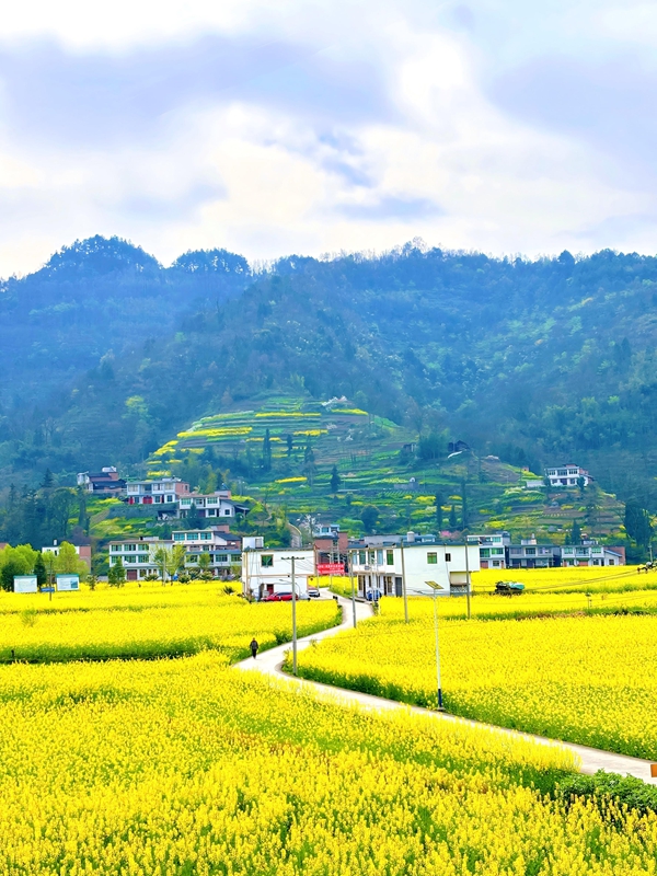 1、溫水梨園壩遠景。羅金 攝.jpg