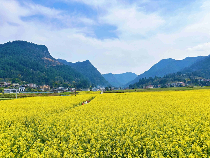 5、良村吼灘壩區遠景。羅金 攝.jpg