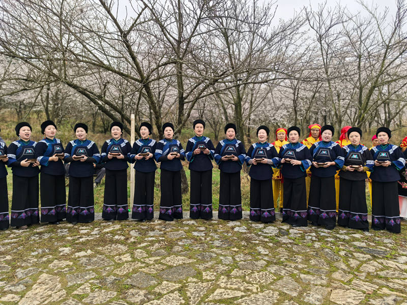 平壩文藝演出在貴安櫻花園上演。