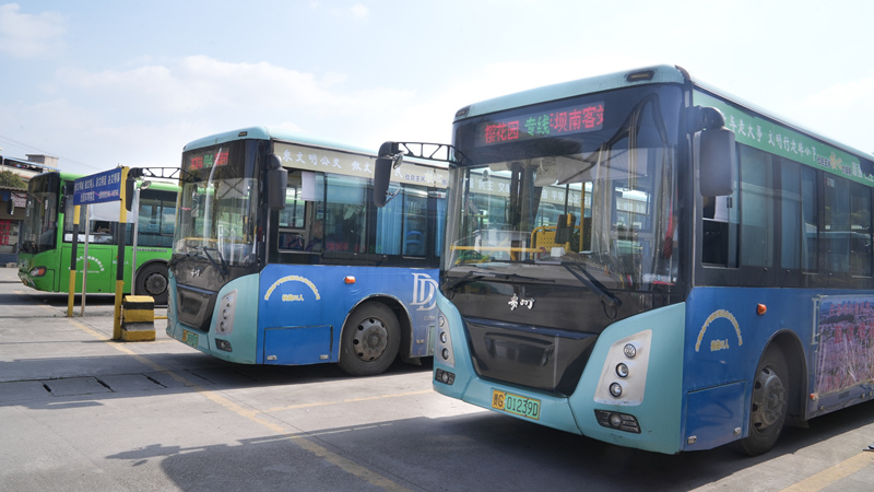 平坝“公交+旅游”解锁赏花新体验。