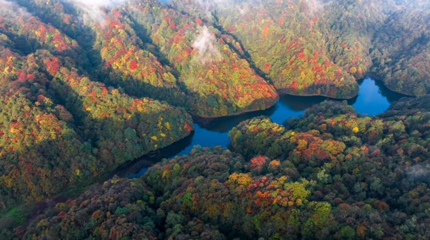 宽阔水国家级自然保护区景色。