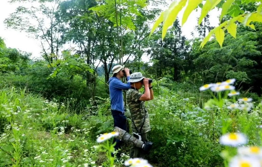 观鸟爱好者在宽阔水保护区观鸟、拍摄。