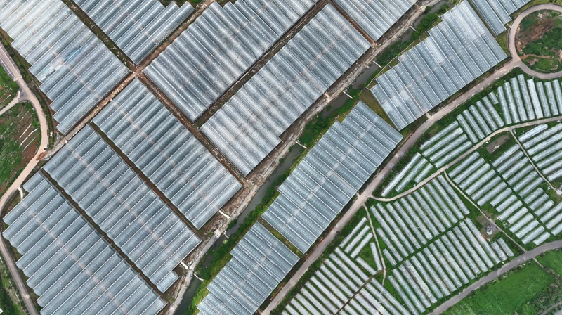 独山“菜篮子”量足价稳。