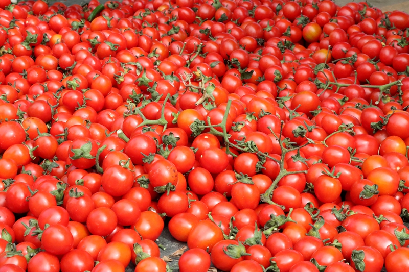 独山“菜篮子”量足价稳。