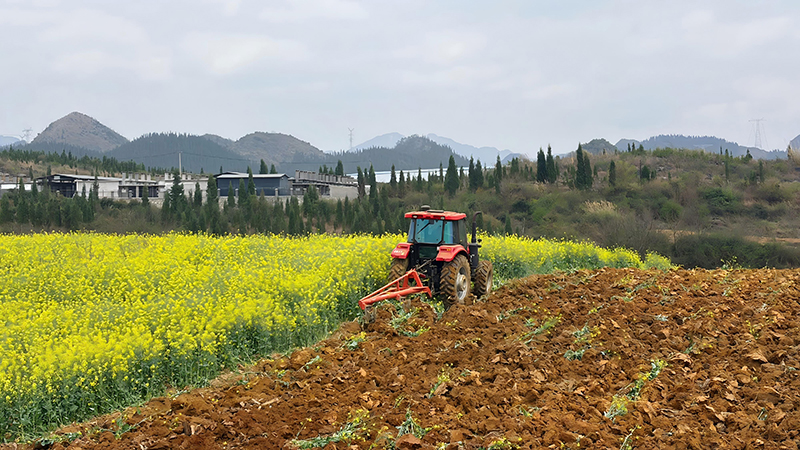 煙地裡正在翻犁的拖拉機。