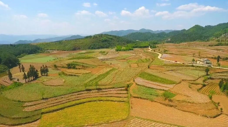 盘州农地.jpg
