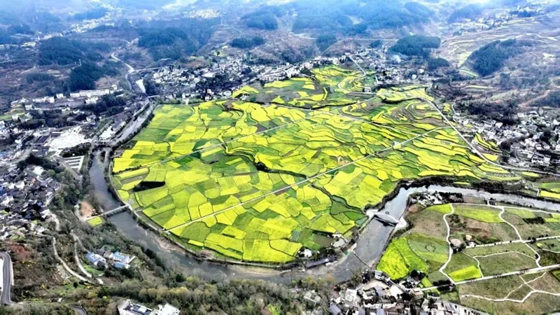 圖為：禾豐鄉“玉水金盆