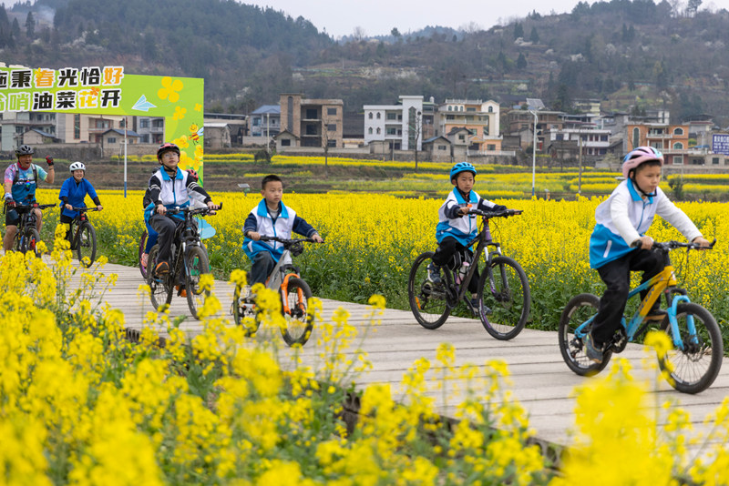 騎行愛好者在貴州省黔東南苗族侗族自治州施秉縣城關鎮上翁哨村油菜花田間騎行。